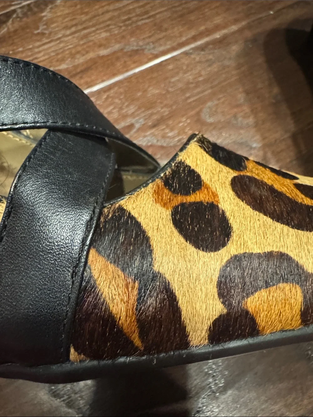 AEROSOLES Leopard Print Pumps with Black Straps